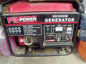 P3 Power Generator  watt