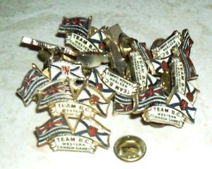 Team B.C. Western Canada Games pin lot / 1 dozen