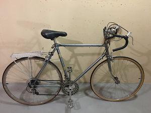Vintage Nishiki Road Bike