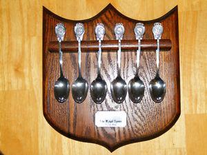 Vintage Royal Family Spoon Collection - WM Rogers