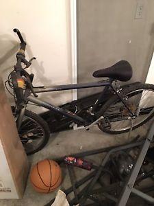 Wanted: Precision bike
