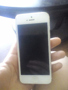 iPhone 5!