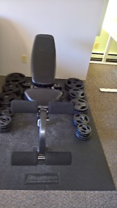Bench and Weights + accessories