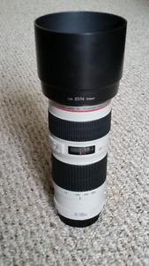 Canon  f4L Lens For Sale