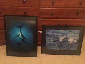 Dolphin framed prints