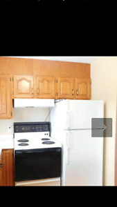 Fridge $100 stove $140 both $200