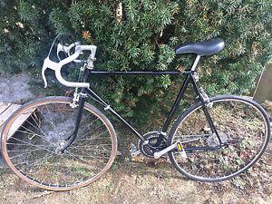 10 Speed Skyline Road Bike