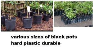 2, 3, 5 and 8 gallon greenhouse black pots