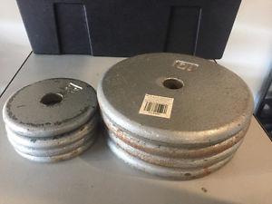 50 LBS Weight Lifting Plates for sale