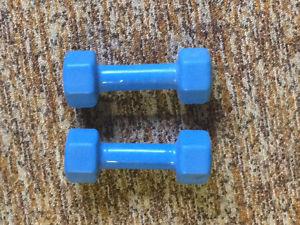 Almost brand new 5lb dumbbells for $5