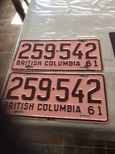  BC License plates pink