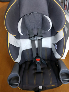 Baby Swing/ Car Seat