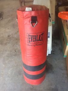 Everlast punching bag