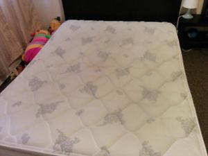 Free Queen size mattress setra pet and smke free