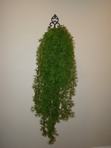 Large wall plant hanging