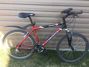 Men's Giant mountain Bike