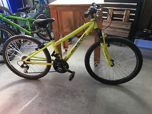 Norco Ignitor (24 inch - youth)