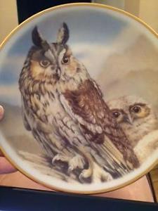 Owl Wall Plate