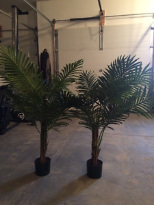 Two artifical palm trees