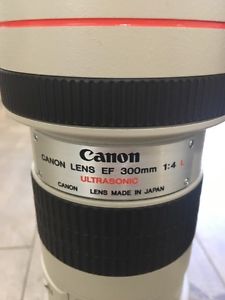 Wanted: Canon 300mm f/4 prime lens