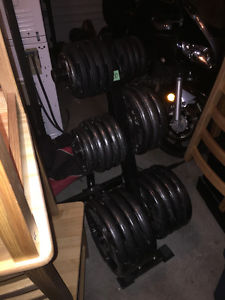 Weight Bench, Rack & Plate Weights