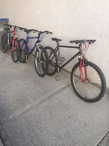 3 Mountain Bikes