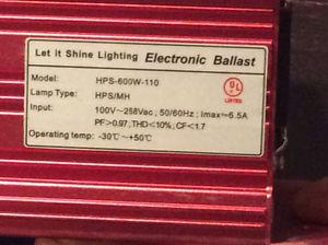 600 Watt Electronic Ballast