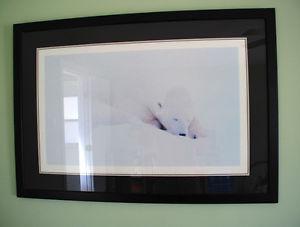 Beautiful framed polar bear print