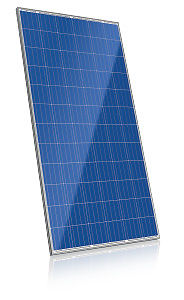 CS6K-270P 270W Solar Panel Gander DNM Solar