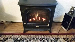 Electric Woodstove Fire