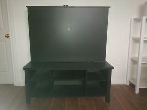 Entertainment Unit