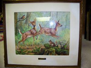 FRAMED PICTURE - " FAWNS IN THE FOREST"