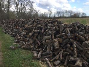 Hardwood - Fire wood