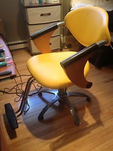 Hydraulic Salon Chair