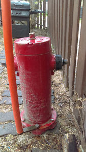 Mint condition Fire Hydrant