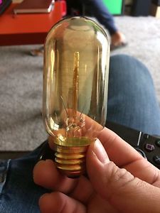 Wanted: Edison vintage bulbs
