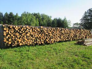 -pieces=pole-cedar-fence-=8ft-to-12ft-=and-t/g-v-mash-c