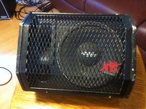 Artist System  Non Powered Stage Monitors (9)