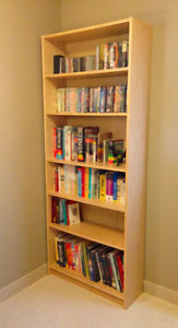 Birch Veneer Bookcase