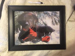 Framed Black Lab Print