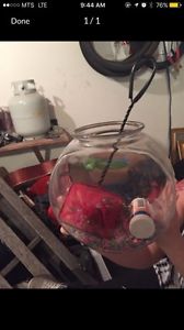 I'm selling my fishbowl with accessories