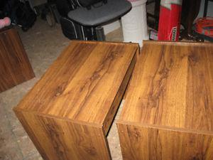 Two identical end tables