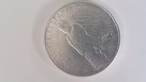 USA Silver Peace Dollar from 