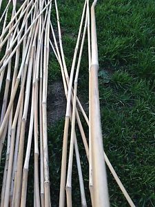 Bamboo like sticks