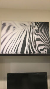 Beautiful zebra canvas