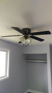 Black ceiling fan