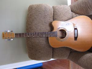Cort Acoustic electric