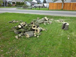 Free firewood