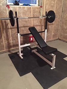 Gym equipment: Olympic bench, curl bench, weights and bars