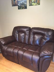 Leather Reclining Loveseat – Brown (The Brick)